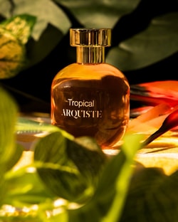 ARQUISTE