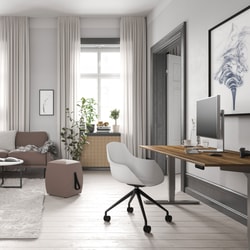 ASSMANN HOME