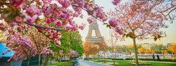 Authentic Europe