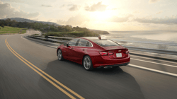 Avis Car Rental