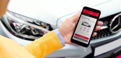 Avis Car Rental