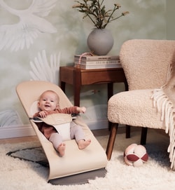 BabyBj&ouml;rn