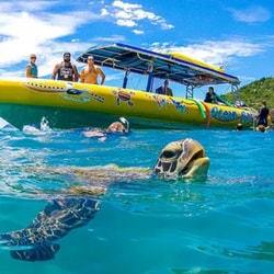 Backpacker Deals