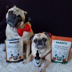 Bailey's CBD