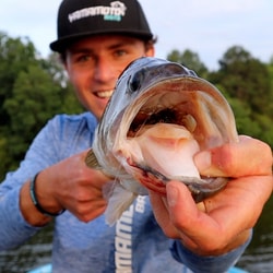 Baits.com