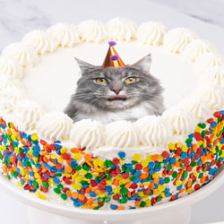 Bake Me A Wish!