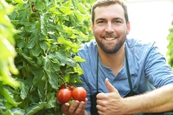 BALDUR-Garten