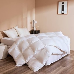 Bedding Co