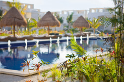 Beloved Hotels