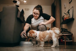 Best Deal Pet Supply