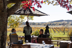 Best Restaurants