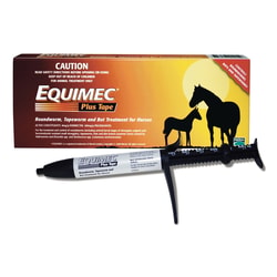 Best Vet Care