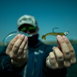 Big Bite Baits