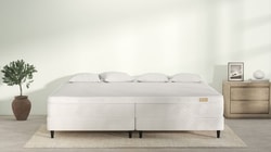 Big Mattress Co.