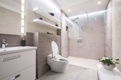 Bio Bidet