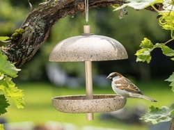 bio-garten