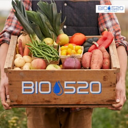 Bio520
