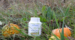 BioProphyl