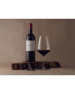 Bodegas Protos