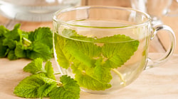 Body and Mind Botanicals