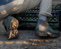 Bogs Footwear