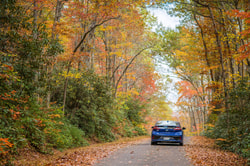 Budget Car Rental