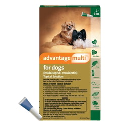 BudgetPetCare