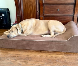 Bully Beds