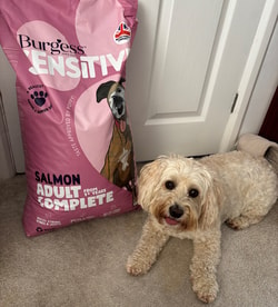 Burgess Pet Care