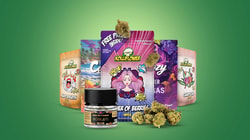 Burning Daily