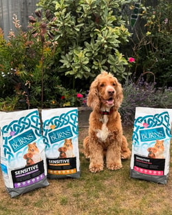 Burns Pet Nutrition