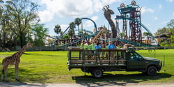 Busch Gardens