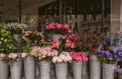 By Bloom