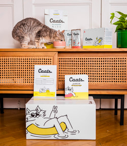 Caats