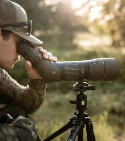 Cabela's