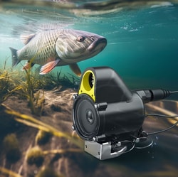 CanFish