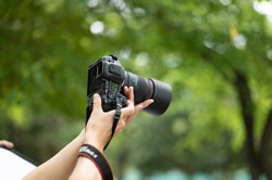 Canon 