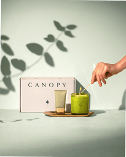 Canopy Beauty