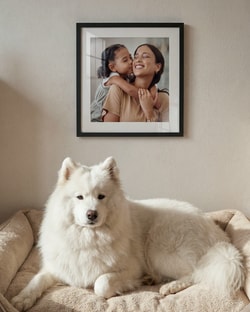 CanvasDiscount