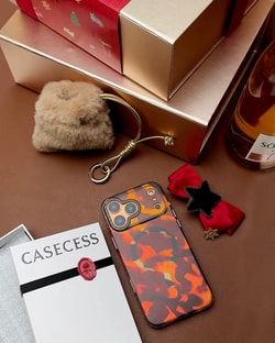 CASECESS