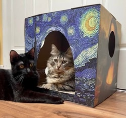 Cat Box Classics
