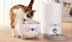 Catit