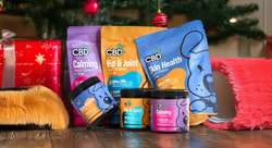 CBDfx