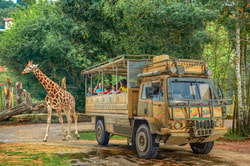 Chessington
