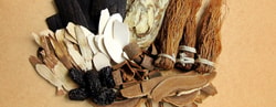 Chinese Herbs Direct