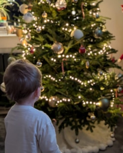 Christmas Trees Direct