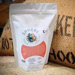 City Boy Coffee