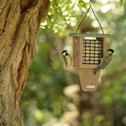 CJ Wildlife