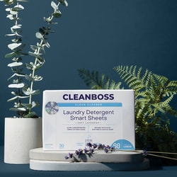 CleanBoss