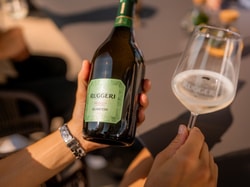 Club of Wine